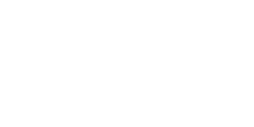 Global-Chamber-500x250
